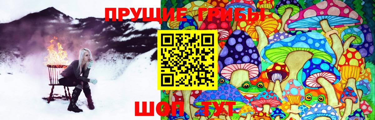 Галлюциногенные грибы MAGIC MUSHROOMS  Галлюциногенные грибы мицелий  Балтийск  Вход с VPN 